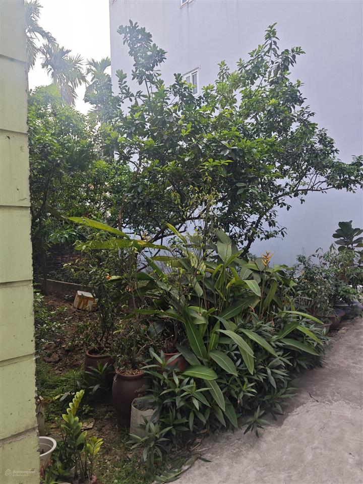 Lô đất vàng an khánh sát học viện chính sách & phát triển, gần đại lộ thăng long. 45m2. giá 3,7 tỷ