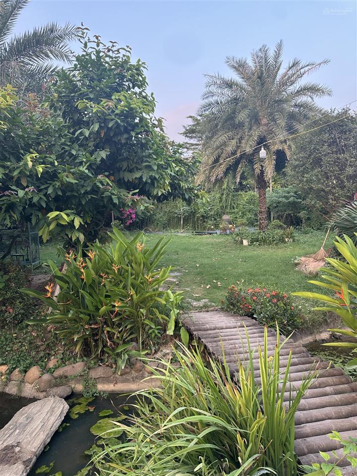 Cho thuê nhà vườn 1600m2 mô hình cafe sân vườn, lẩu nướng, camping tại bắc cầu view cầu tứ liên