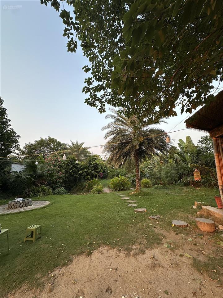 Cho thuê nhà vườn 1600m2 mô hình cafe sân vườn, lẩu nướng, camping tại bắc cầu view cầu tứ liên