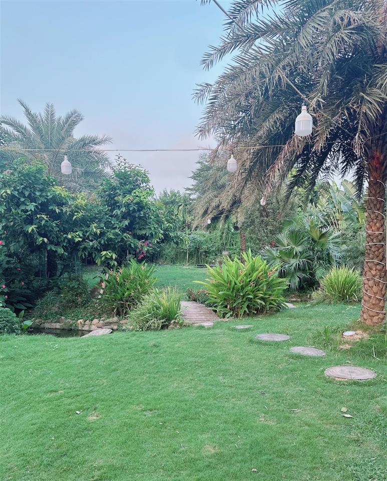 Cho thuê nhà vườn 1600m2 mô hình cafe sân vườn, lẩu nướng, camping tại bắc cầu view cầu tứ liên