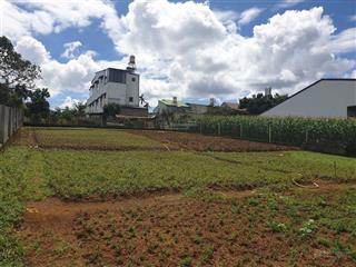 Bán đất sẵn thổ cư 724m2 hẻm lý thái tổ, đam bri giá ngộp