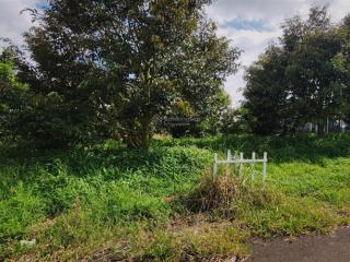 Bán đất thôn 1 tân lạc giá cực ngộp