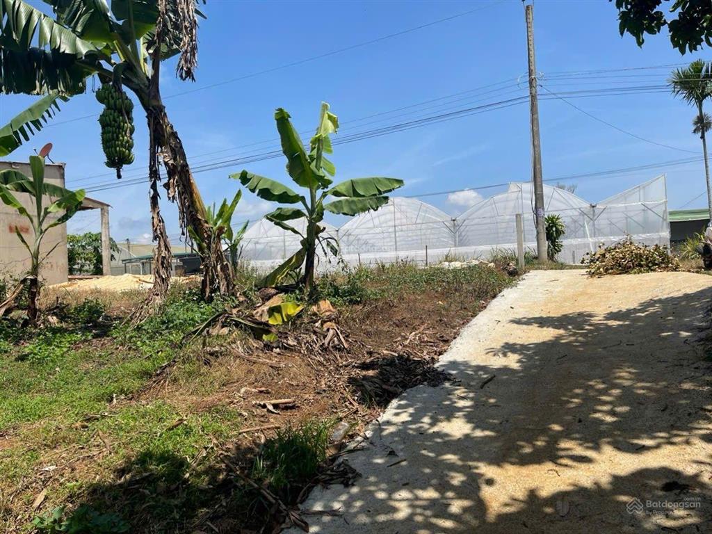 Đất vườn lộc đức  4700m² sẵn thổ cư giá chỉ 5 tỷ