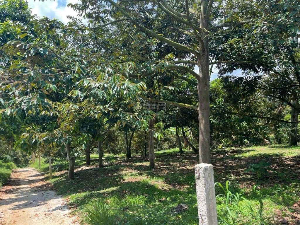 Đất vườn lộc đức  4700m² sẵn thổ cư giá chỉ 5 tỷ