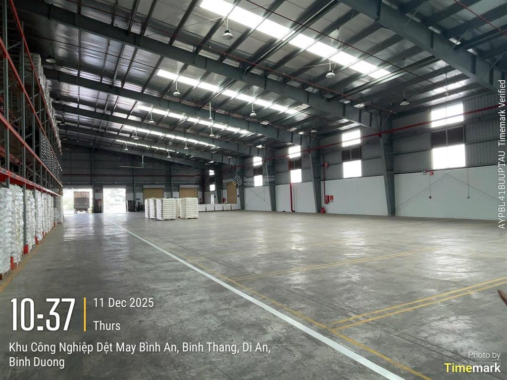 Cho thuê kho, kho linh hoạt, cfs, tại kcn dệt may