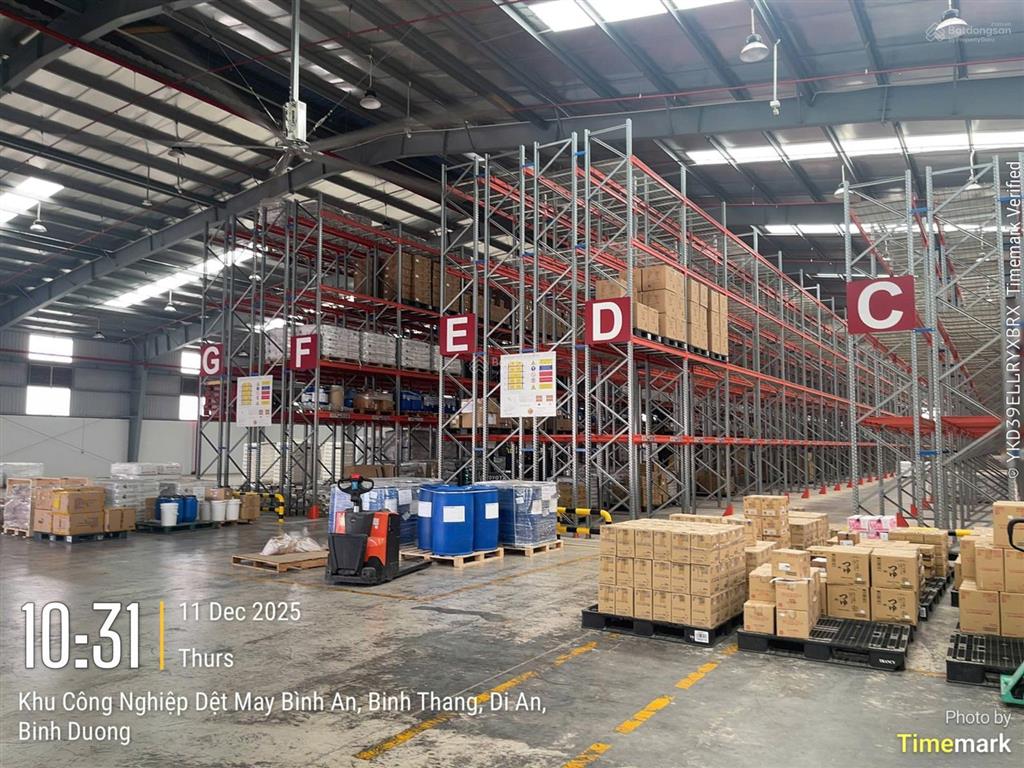 Cho thuê kho, kho linh hoạt, cfs, tại kcn dệt may