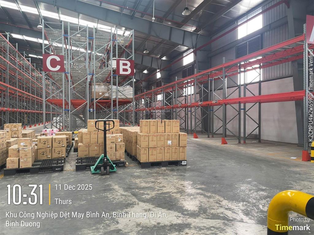Cho thuê kho, kho linh hoạt, cfs, tại kcn dệt may