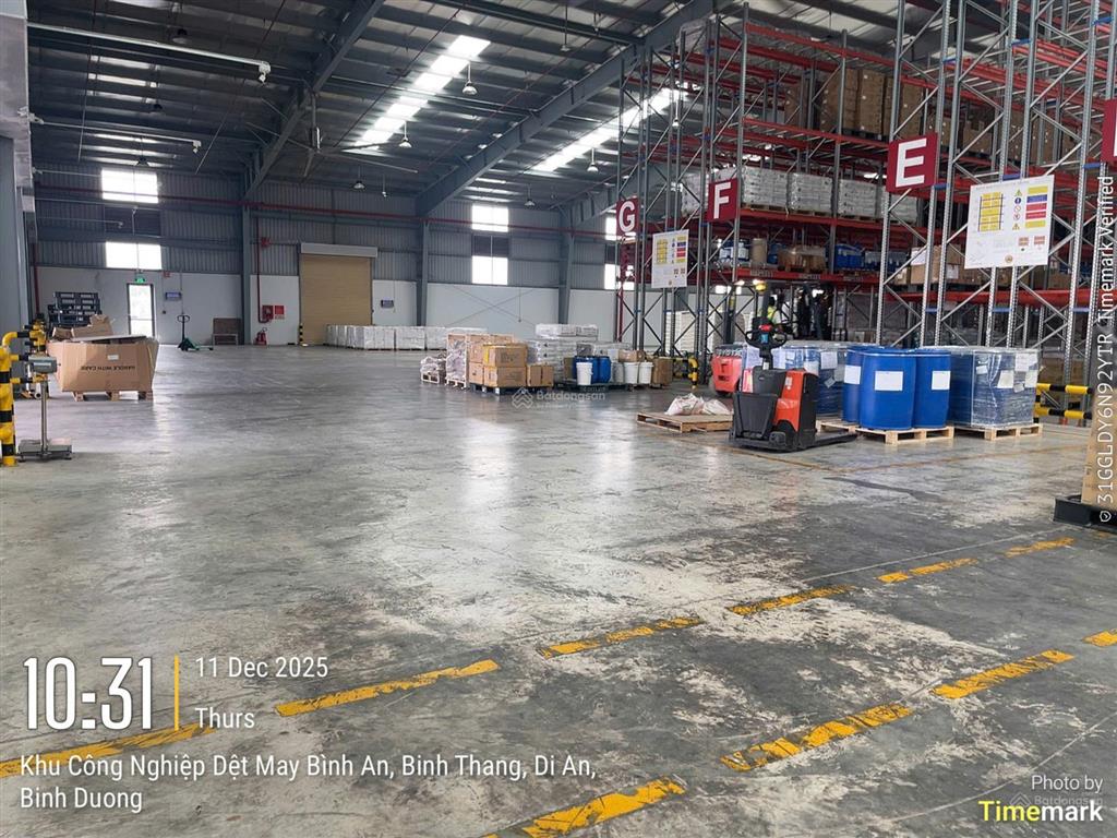 Cho thuê kho, kho linh hoạt, cfs, tại kcn dệt may