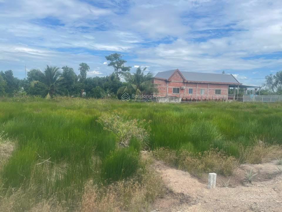 Đất nền giá rẻ cho anh chị em đầu tư và mua ở. gần kcn long giang. giá 300 triệu