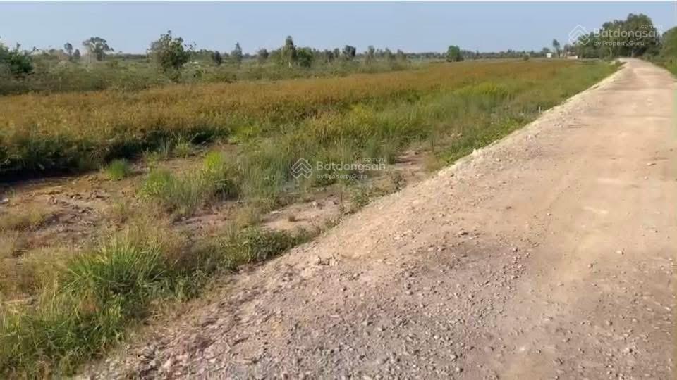 5x26. đường xe hơi. cách chợ phú mỹ 2km. giá 260 triệu