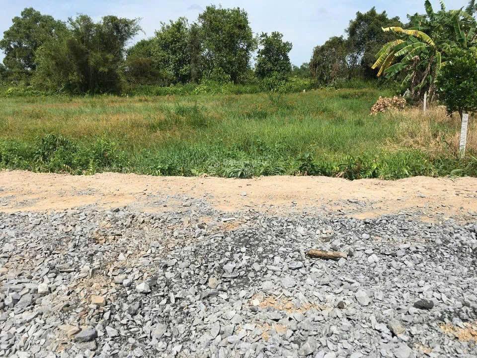 Bán đất gần chợ hưng thạnh (tân phước, tiền giang). giá 360 triệu