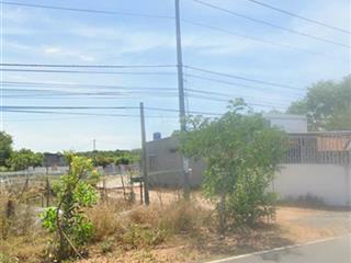 Bán đất xã phước thuận cách hồ tràm 3,5km, 300m² thổ cư. đường tỉnh lộ 328