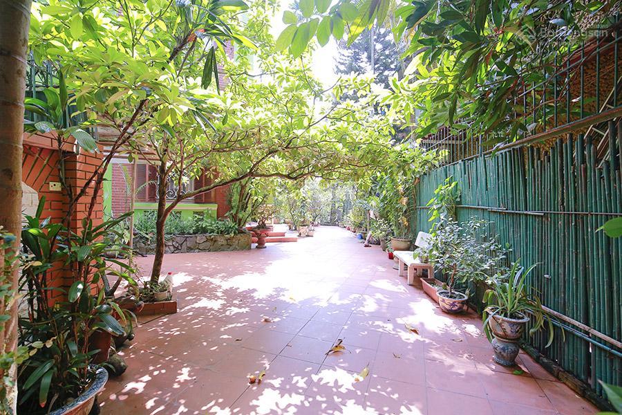 Cho thuê biệt thự sân vườn phố view hồ từ hoa tây hồ