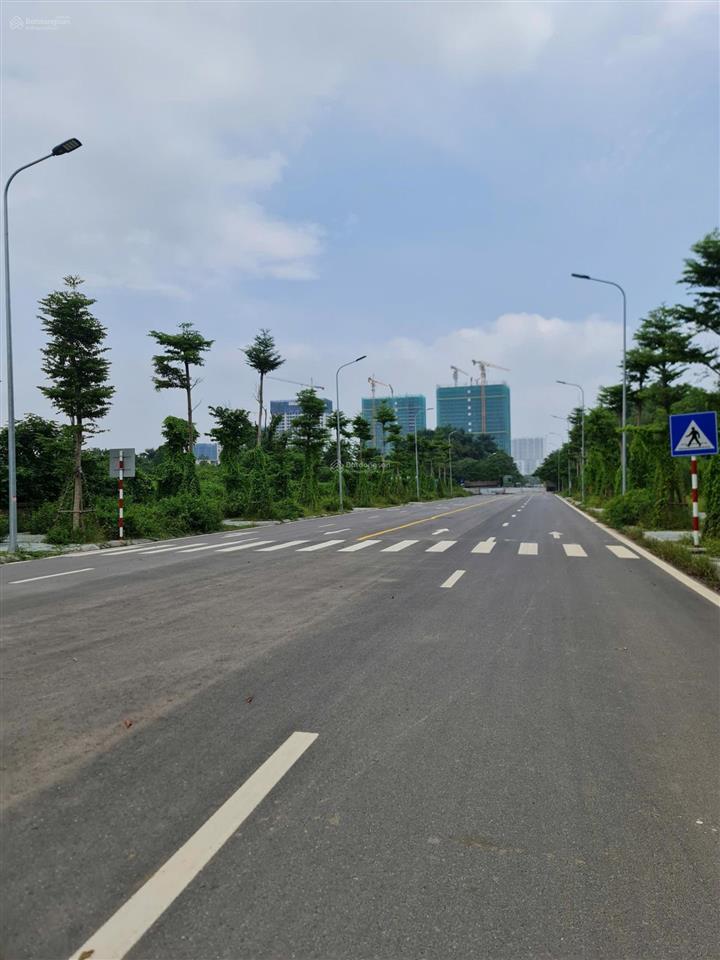 Đất nguyễn đình tứ, bắc từ liêm 58m2 vị trí đẹp giá 11,6 tỷ