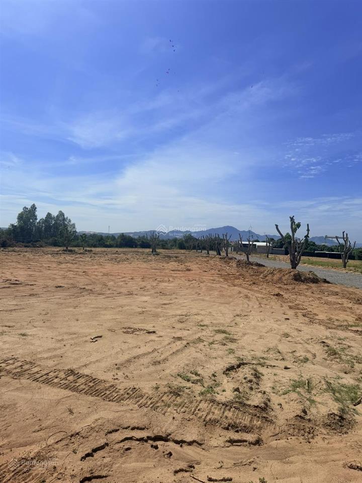 Đất trung tâm cam ranh  vị trí vàng, sổ hồng riêng, quy hoạch bài bản, tiềm năng tăng giá lớn!