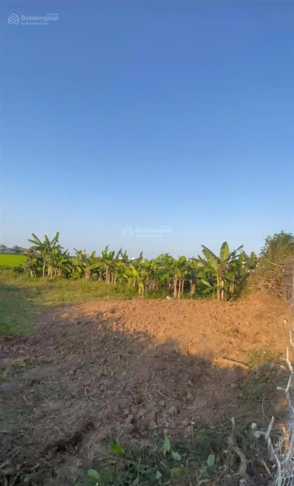 Hót hót ngộp nặng lô đất cách trunh tâm tp tuy hòa 3km giá 250 tr hết lô.