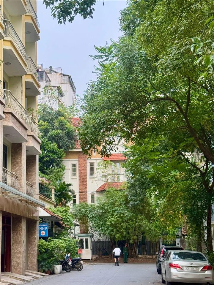Biệt thự phố cổ ba đình  2 ô tô vào nhà  mặt tiền khủng  thoáng vĩnh viễn  dòng tiền đỉnh