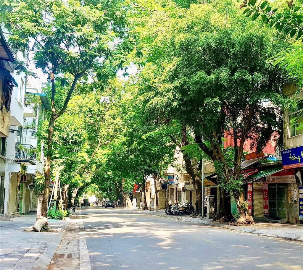 Hiếm có khó tìm nhà lý nam đế ô tô đỗ cửa sân rộng kinh doanh