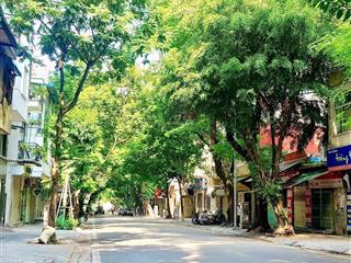 Hiếm có khó tìm nhà lý nam đế ô tô đỗ cửa sân rộng kinh doanh