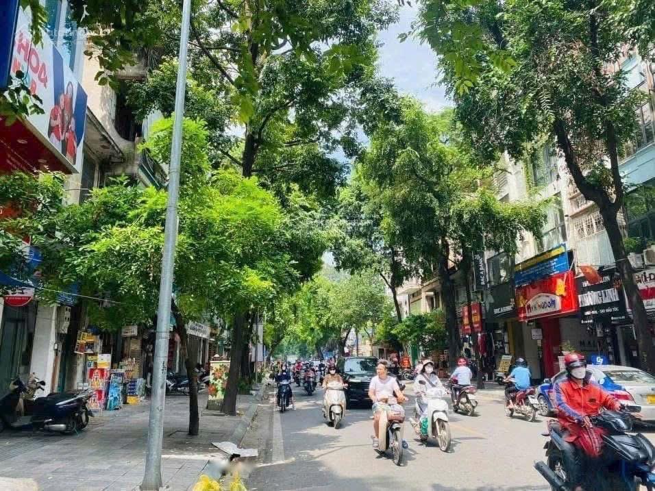 Giảm thẳng 10 tỷ cơ hội vàng săn quỹ đất ngọc lâm  dt 210m  mt 20m  lô góc  vỉa hè rộng nh