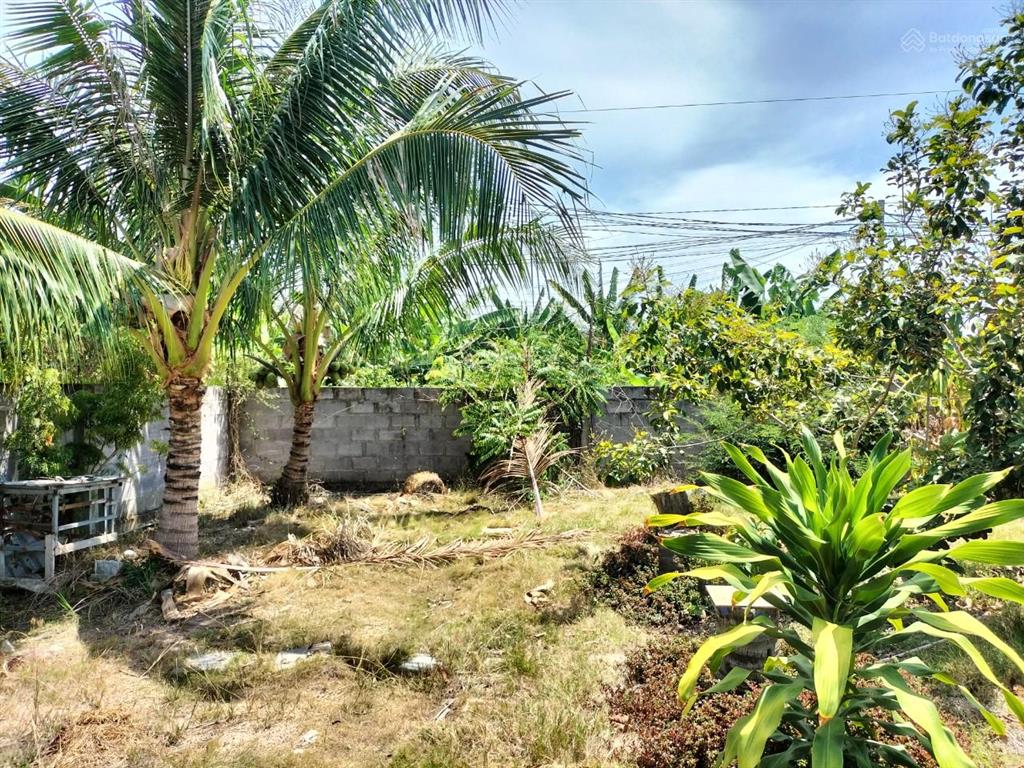 Bán lô đất thuộc phường tây nha trang. khu dân cư hiện hữu, cơ sở hạ tầng hoàn thiện