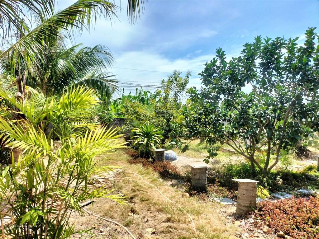 Bán lô đất thuộc phường tây nha trang. khu dân cư hiện hữu, cơ sở hạ tầng hoàn thiện
