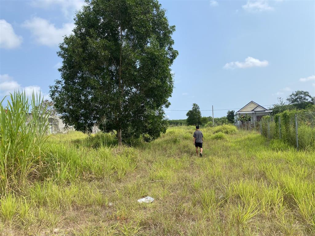 Chính chủ bán đất 2 mặt tiền quốc lộ 55, giá 6 tỷ 950 thương lượng mạnh cho khách thiện chí