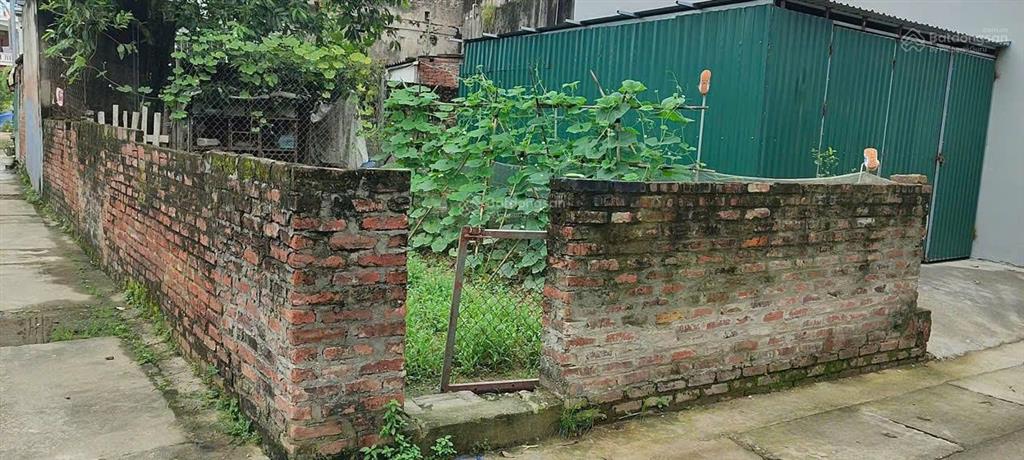 Chính chủ bán lô góc 2 mặt tiền, vuông vắn, tài chính vừa phải ở xã tiền phong, huyện mê linh