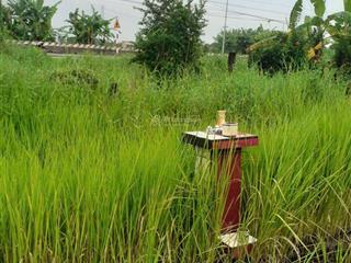 Đất mặt tiền rộng lớn giá thương lượng mạnh chưa qua đầu tư