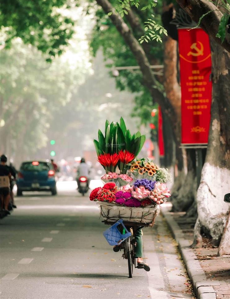 Căn 6 tầng, mặt tiền hơn 5m phố trần quang khải, mặt tiền rộng  vị trí đẹp, dải vườn hoa trung tâm