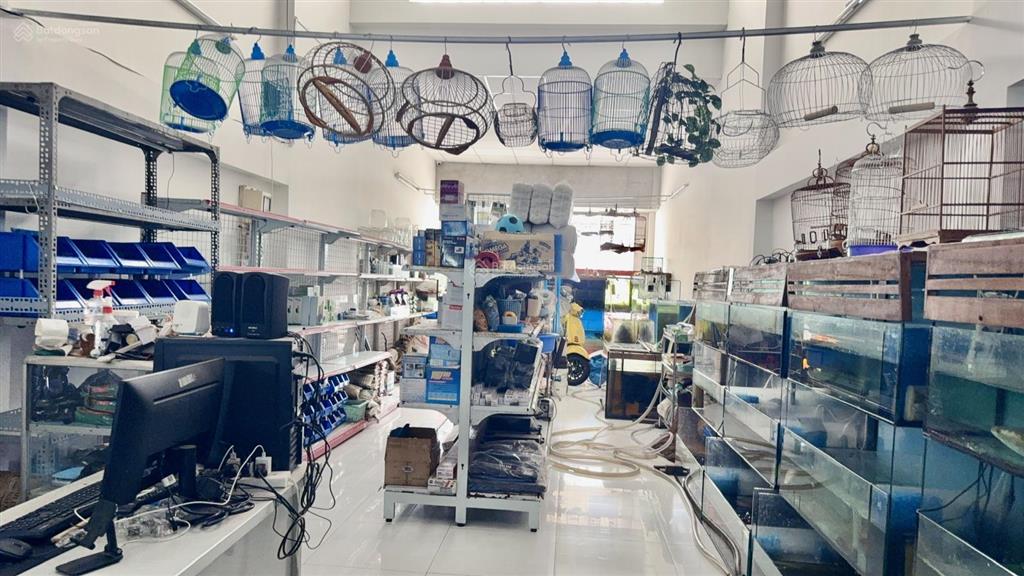 Giảm giá gần 1 tỷbán nhà 2 tầng  mặt tiền kd  chỉ 9,99 tỷ (100m2)  gần cđ công thương, quận 9!