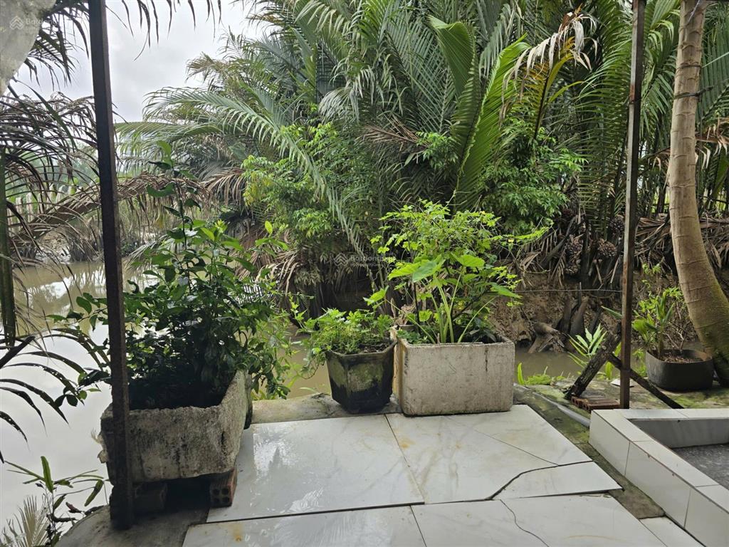 Cho thuê nhà long trường, q9, tp. hcm
