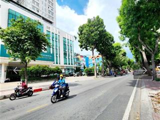 Hiếm nhà đẹp ngay cư xá lữ gia & nhà thi đấu phú thọ  diện tích 50m2  5 tầng  chủ tặng toàn bộ