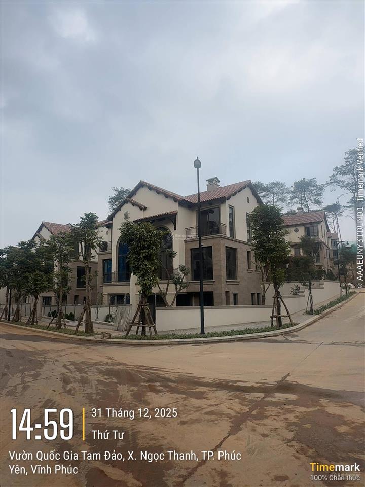 Chính chủ cắt lỗ căn song lập 225m2 view rừng thông