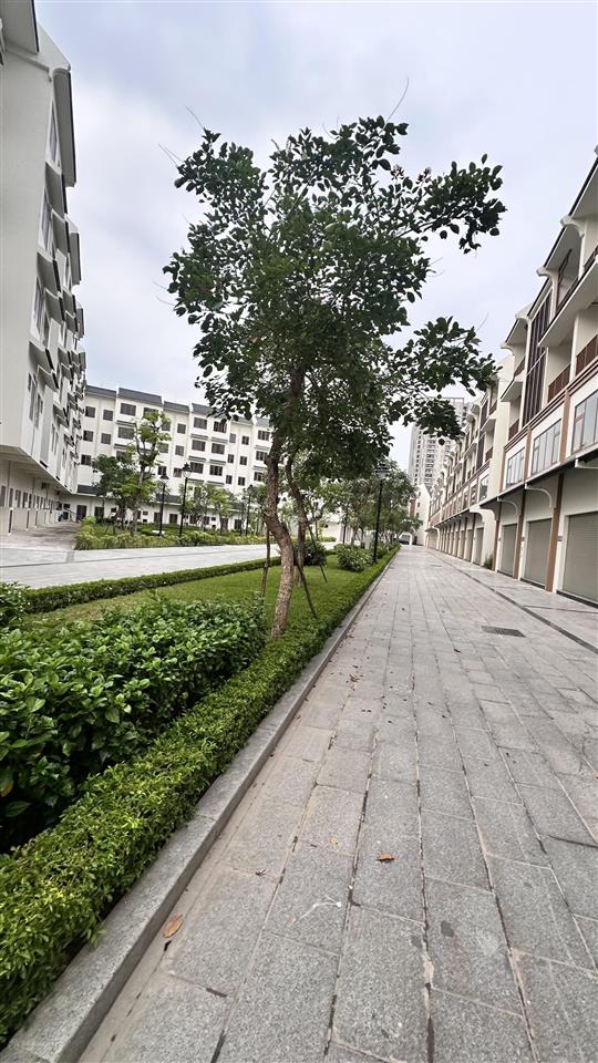 Chính chủ cho thuê lk45.09 hinode royal park giá mong muốn 12tr