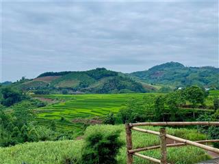 Bán đất view ruộng bậc thang diện tích 1060m tại cao phong, hoà bình cách hà nội