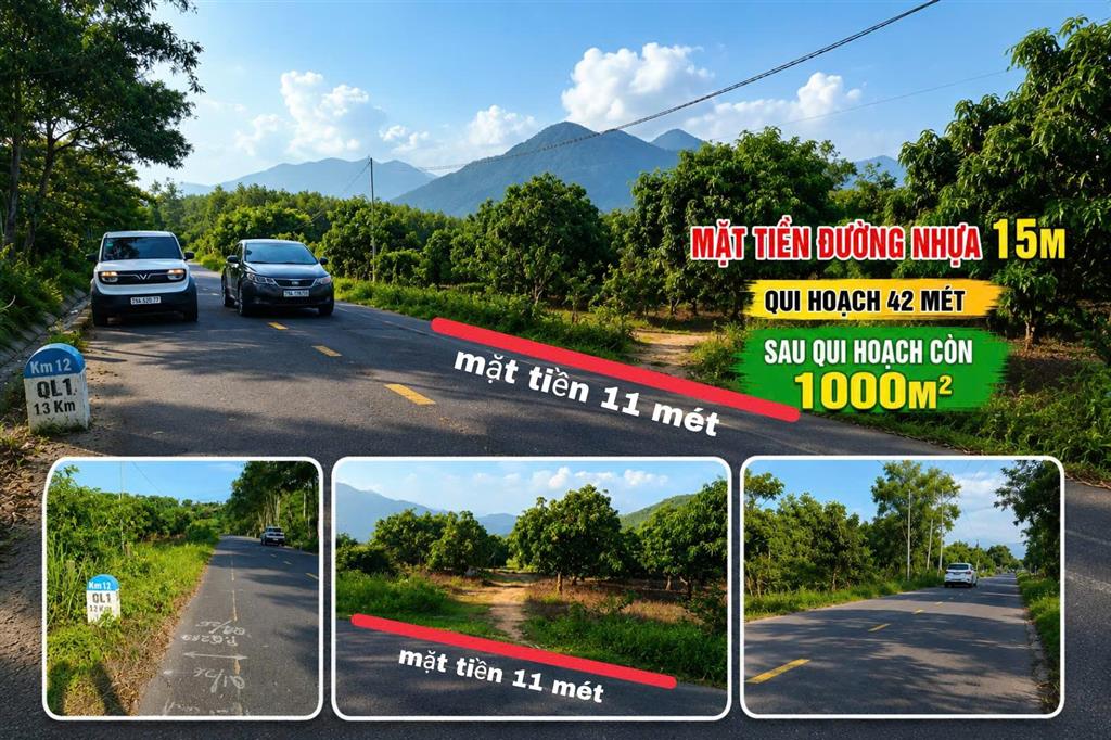Chính chủ bán đất sát fram nông trại vui 1 05 tỷ 1155m2 giá ưu đãi qh dldv