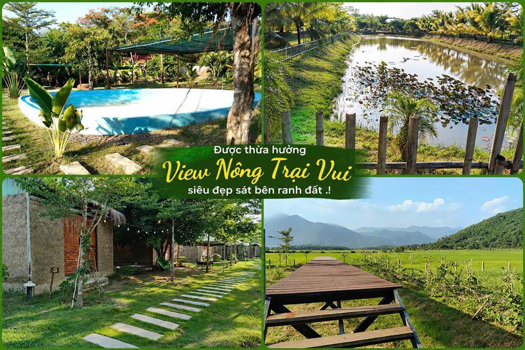 Chính chủ bán đất sát fram nông trại vui 1 05 tỷ 1155m2 giá ưu đãi qh dldv