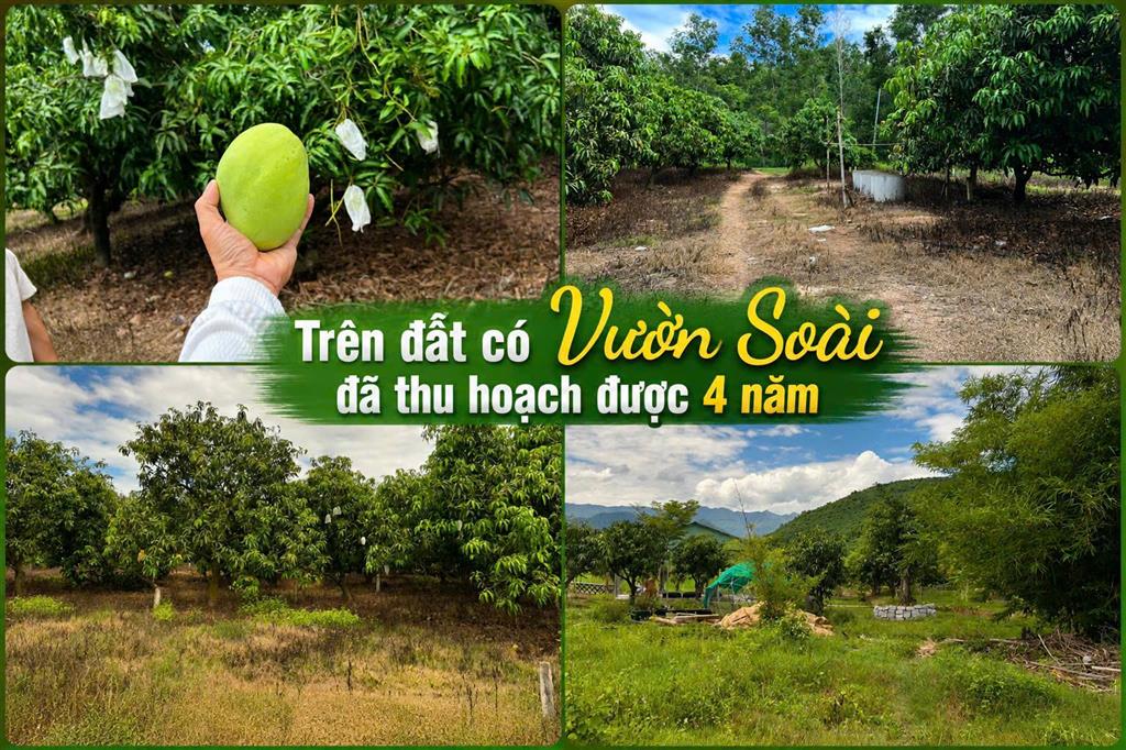 Chính chủ bán đất sát fram nông trại vui 1 05 tỷ 1155m2 giá ưu đãi qh dldv