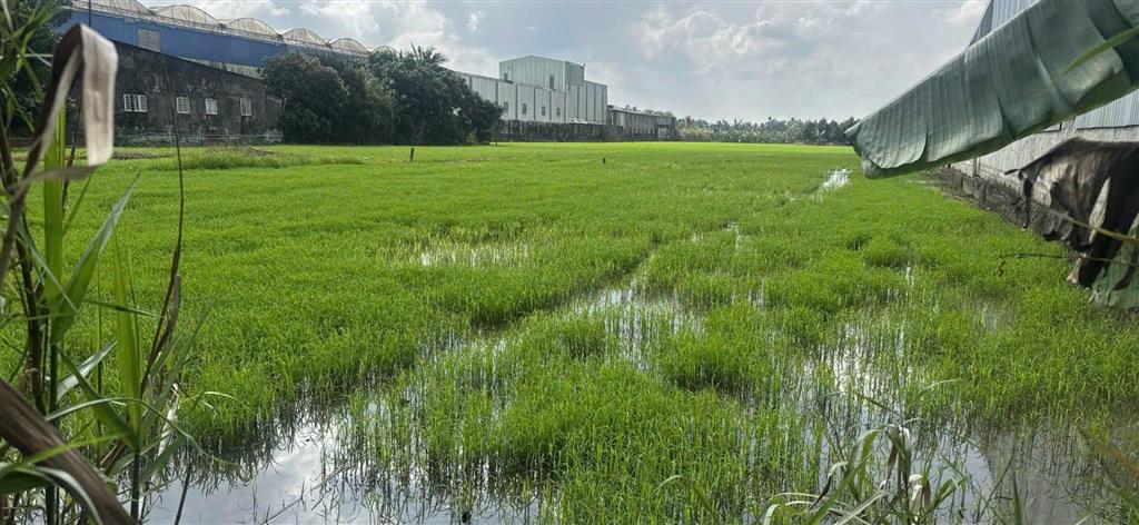 Chính chủ bán 02 quỹ đất lớn cần thơ