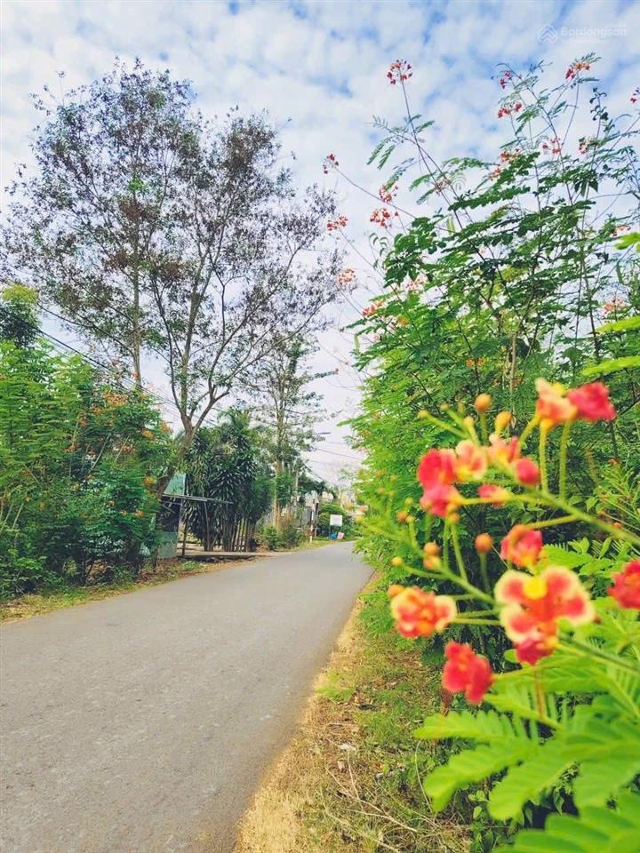 Bán lô đất đẹp xuân thọ view núi, sát suối không gian sống lý tưởng