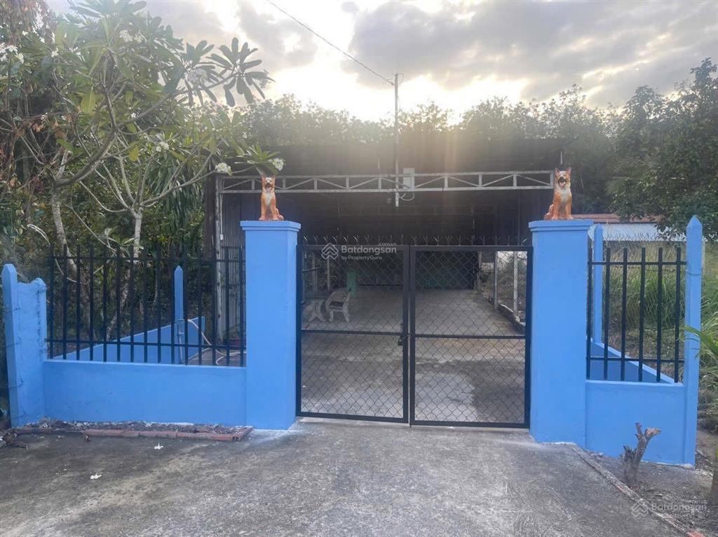 Bán đất 353m có 300m thô cu vi tri gan khu tien ích