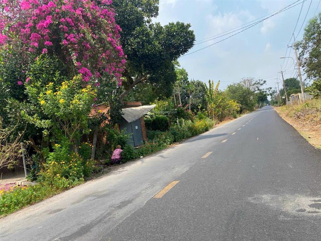 Bán đất tại bàu lách, 55 tỷ, 2177 m2, giá siêu hời!