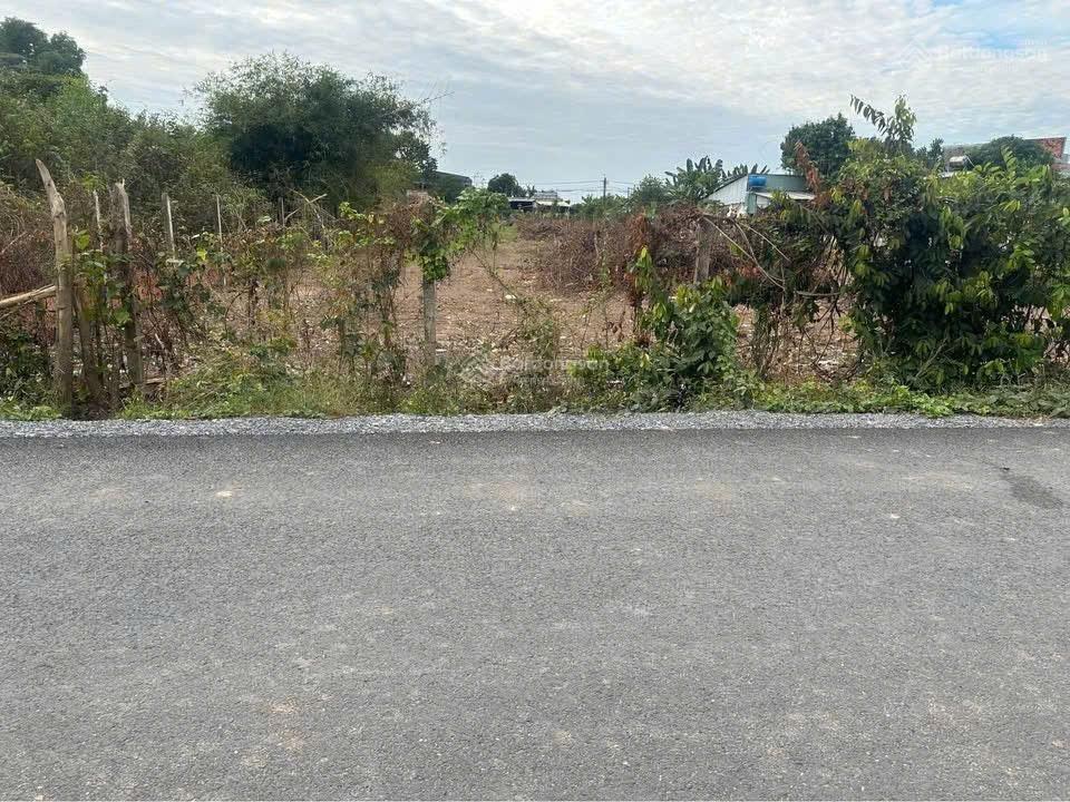 Bán đất tại bàu lách, 55 tỷ, 2177 m2, giá siêu hời!