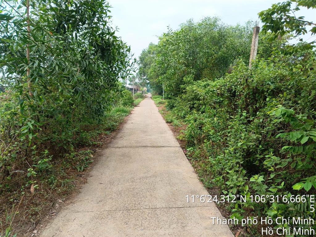 Bán đất mặt tiền đường bêtông 1/cây gõ xã an nhơn tây huyện củ chi
