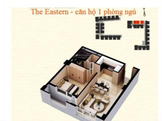 Chính chủ bán căn the eastern 2,8ty1pn+1wc60m2 full nội thất ban công quá rẻ siêu ngộp