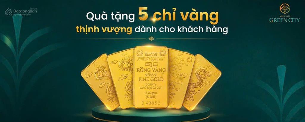Cực sốc tặng ngay 300tr  căn tn19  xx tại vinhomes hậu nghĩa  giả chỉ 5 tỷ