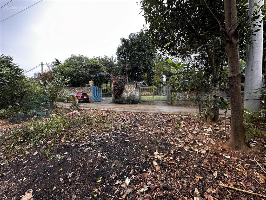 Chính chủ bán đất xã yên bài, ba vì, hà nội, giá 5,22 tỷ, diện tích 522m2