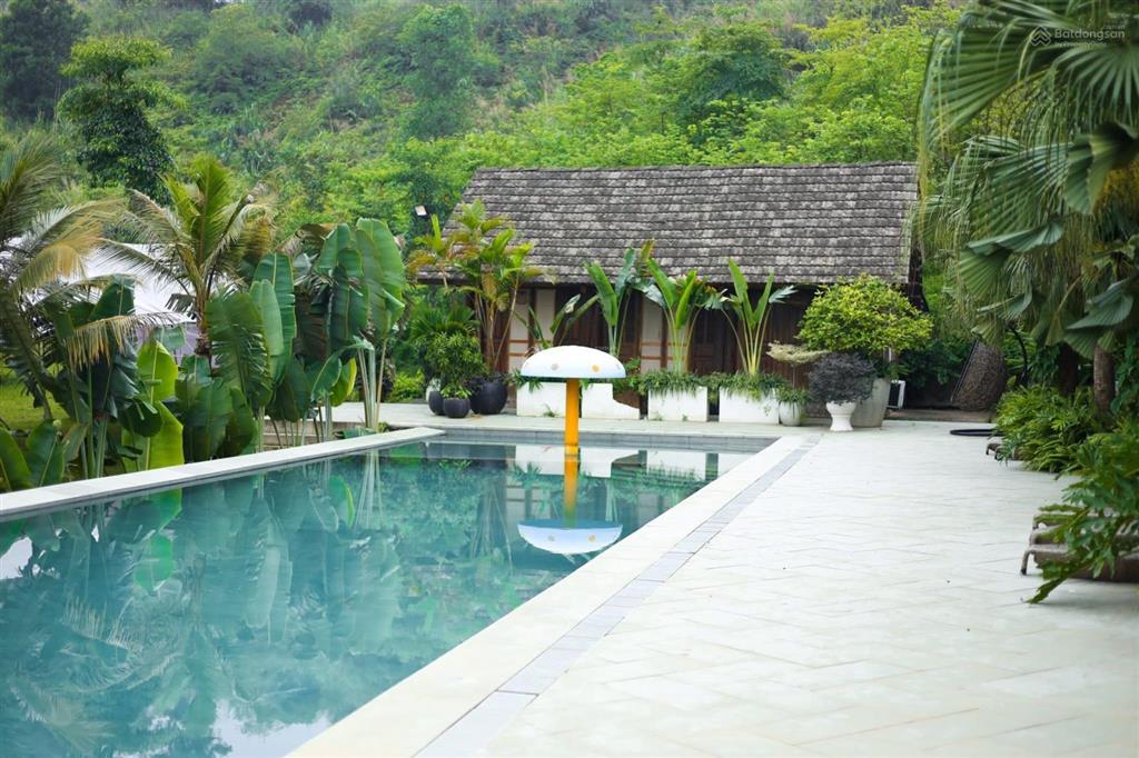 Chỉ 2,3 tỷ sở hữu villa nghỉ dưỡng nổi tiếng ba vì quần thể 3ha đang vận hành dòng tiền tốt
