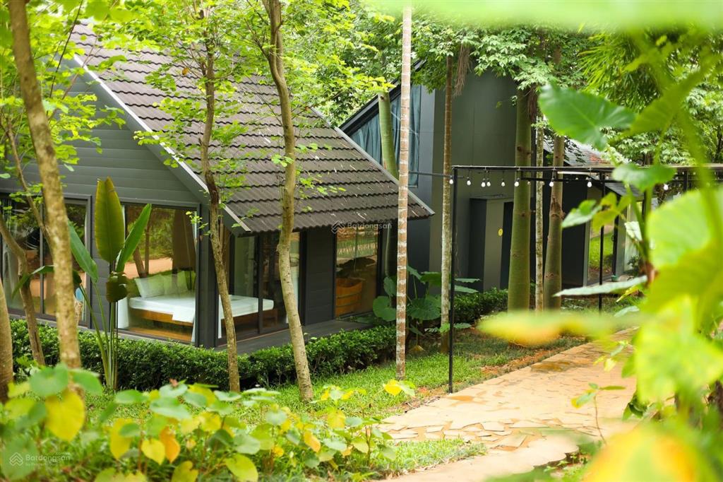 Chỉ 2,3 tỷ sở hữu villa nghỉ dưỡng nổi tiếng ba vì quần thể 3ha đang vận hành dòng tiền tốt